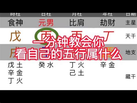 上海五行|上海五行属性探讨